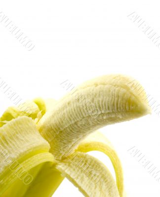 banana close-up