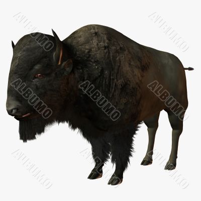 Bison 3D