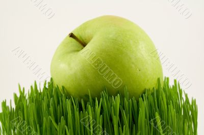 green apple on grass