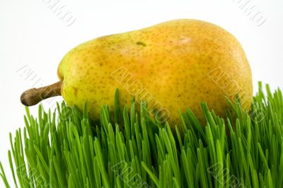 pear on grass