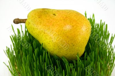 pear on grass