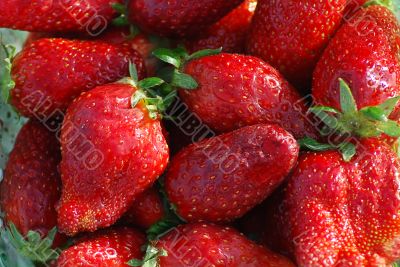 strawberry close up