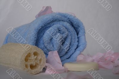 Elegant Spa and Bath