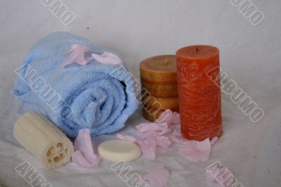 Elegant Spa and Bath