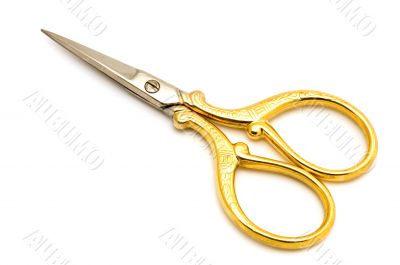 scissors