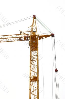 Crane