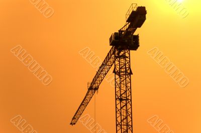 Crane & sundown Crane & sundown