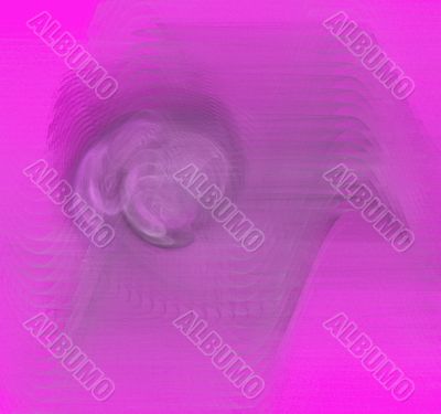 lilac whirls lilac whirls