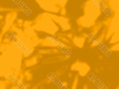 Orange mood Orange mood