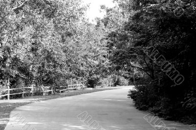 Pathway to Darkness Pathway to Darkness