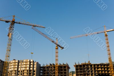 Three cranes