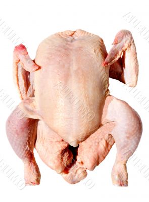 Raw chicken Raw chicken