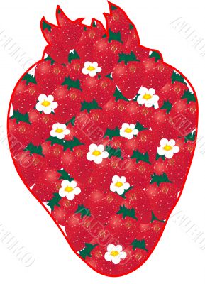 Strawberry from strawberries Strawberry from strawberries