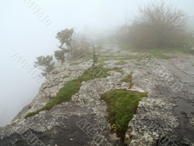  morning mist fog top precipice plateau tableland