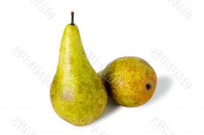 two green sweet pears