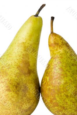 two green pears