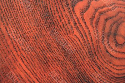 Structure of a cut of a tree