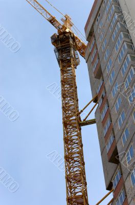 Lifting crane building the house