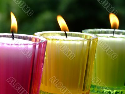 Potted candles
