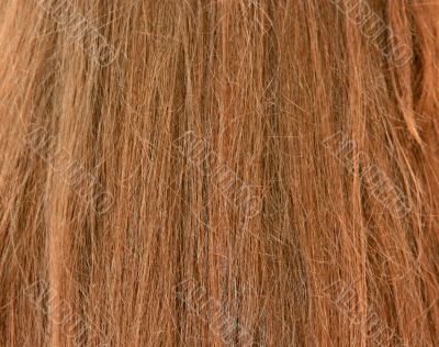 Female hair Female hair