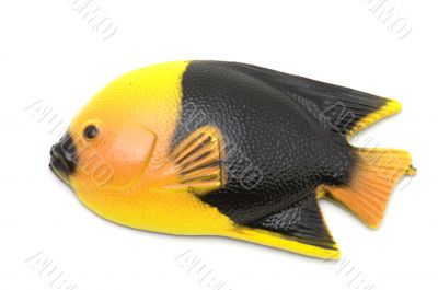 Colored Fish magnet
