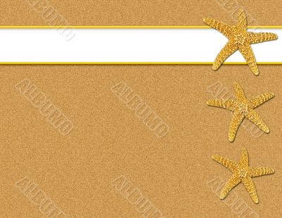 Sand and Starfish Background