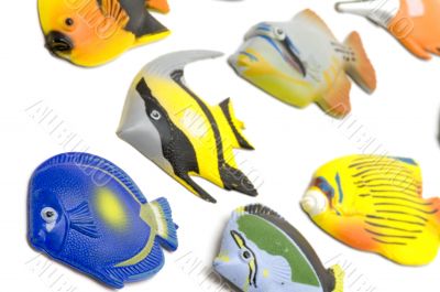 Set of Fish magnet macro