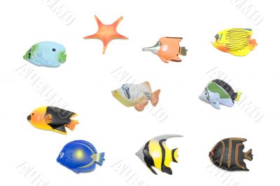 Set of Fish magnet on white