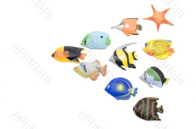 Set of Fish magnet