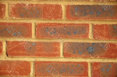 New brick wall