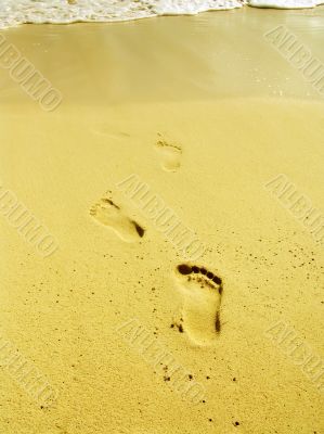 FOOTPRINTS IN SAND