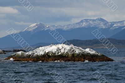 Island with birds on the Beagle Channel, Ushuaia.
