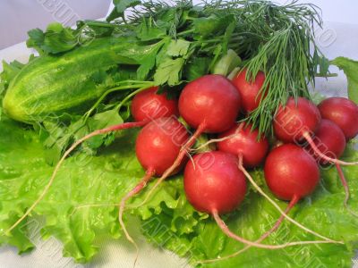 Vegetables for salad