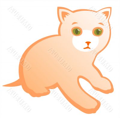 kitten kitten