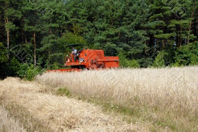 harvester harvesting a grain field
