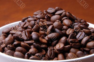 fresh coffee beans