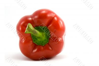 red pepper