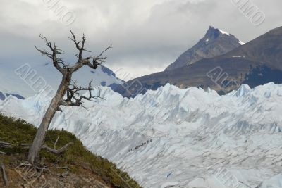Trekking on Perito Moreno glacier, Argentina.