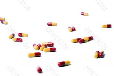 Amoxicillin Pills