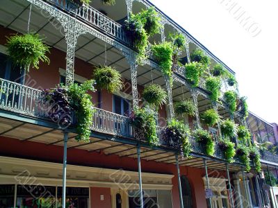 Wrought Iron Balconies with Ferns