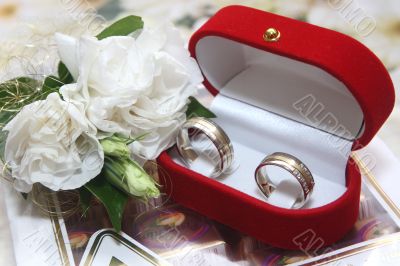 Wedding rings and rose