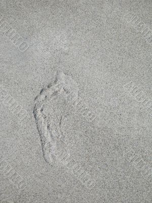 foot print in the sand