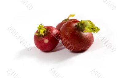 Three radishes on a white background Three radishes on a white background