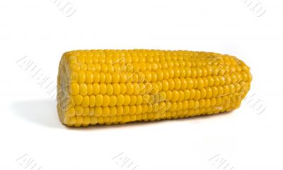 Corn cob on a white background Corn cob on a white background