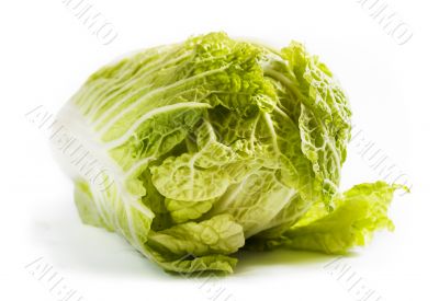 Cabbage on a white background Cabbage on a white background