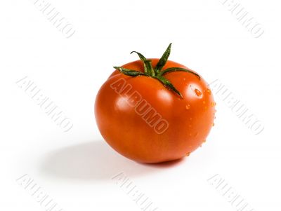 Red tomato on white background Red tomato on white background