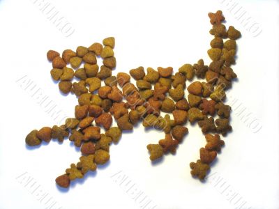 Dry forage for cats