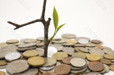 Financial growth.Conceptual image.