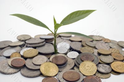 Financial growth.Conceptual image. Financial growth.Conceptual image.