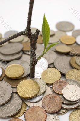 Financial growth.Conceptual image.